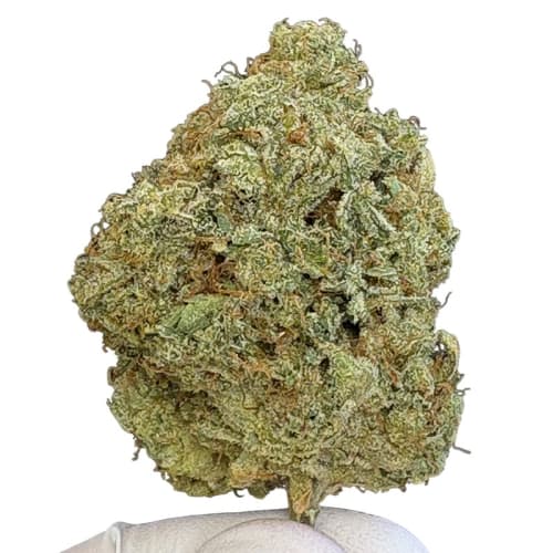 Rainbow Zkittlez - 14g
