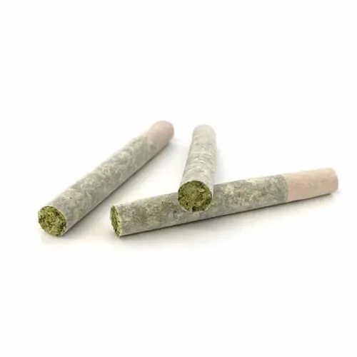 Geisha Breath  PreRoll  1g (2)