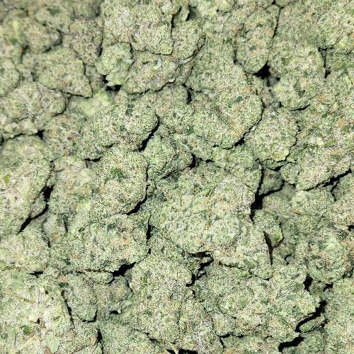 Karamel Kutthroat - 3.5g