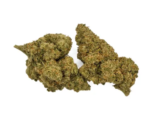 Lettuce  Gorilla Breath